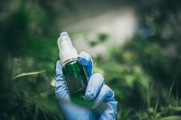Découvrez la meilleure boutique de cbd en france et ses offres